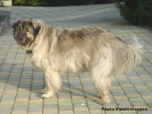 Alan 7,5 years